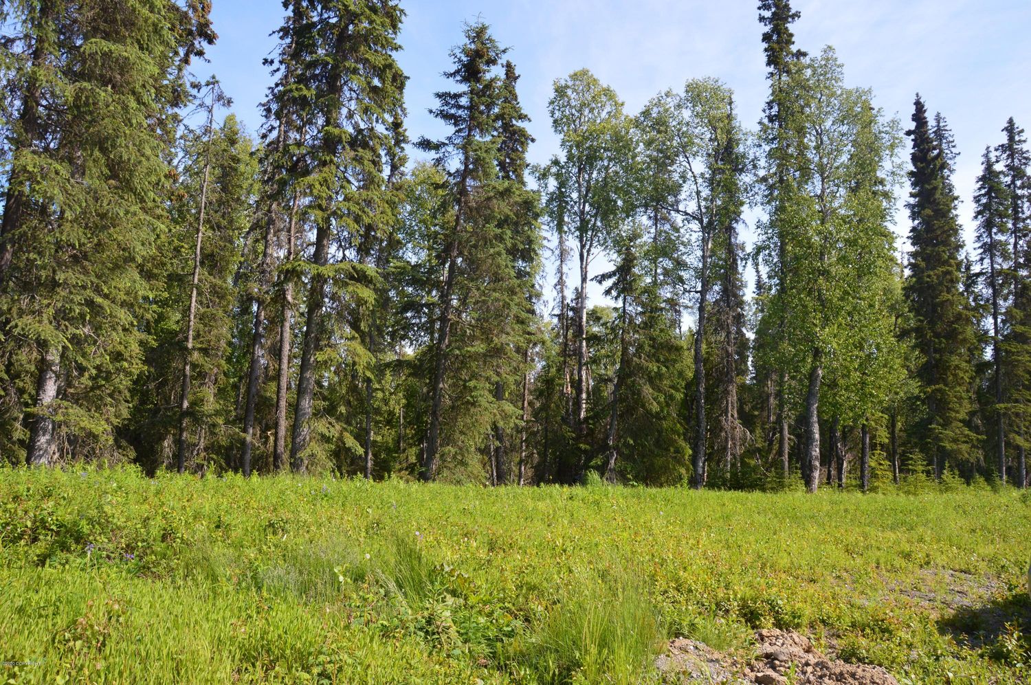 L18 Spruce Haven Street: L18 Spruce Haven Street, Kenai, AK 99611